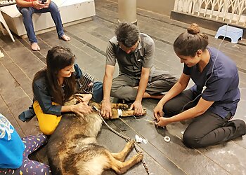 Happy Paws Pet Clinic