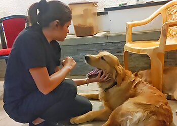 Happy Paws Pet Clinic