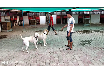 Happy Pups Pet Resort