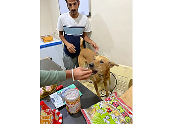 Happy Pups Pet Resort