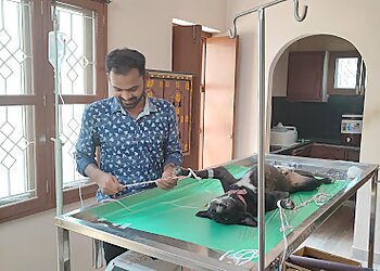 Happy Tails Pet Well Vet Animal Hospital