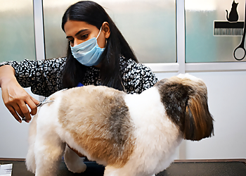 Happy Wags Happy Wags