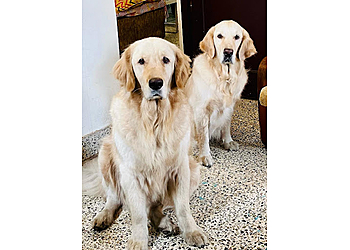 Happys dog kennel & Boarding Centre