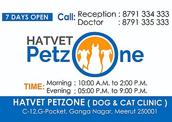 Hatvet Petzone