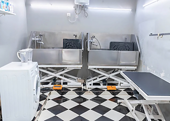 Heads Up For Tails Pet Store & Spa