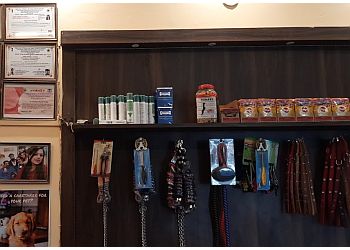 Healthy Paws Pet Clinic