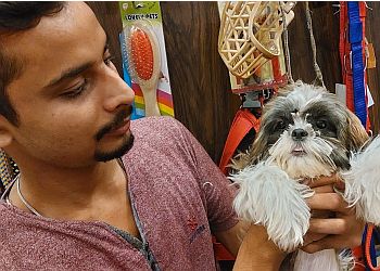 Healthy Paws Pet Clinic