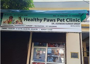Healthy Paws Pet Clinic 