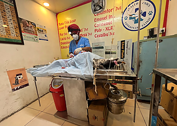 Healthy Paws Veterinary Clinic