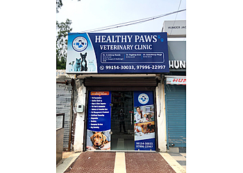 Healthy Paws Veterinary Clinic