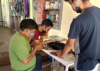 Healthy Pet Care Clinic