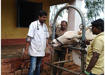 3 Best Veterinary Hospitals in Hubli Dharwad - Expert Recommendations