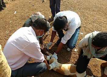 Hebballi's Pet Clinic