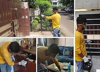 Hi Care Pest & Sanitization Solutions