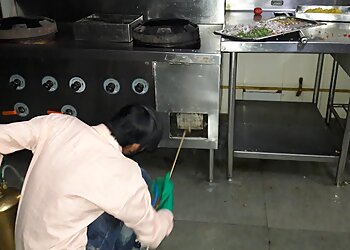 Hindustan Pest Control Services