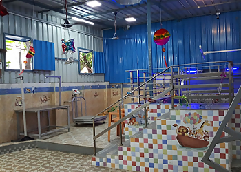 Hostel For Dogs Hostel For Dogs