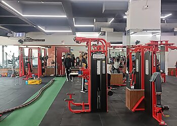 Hustlers Health & Fitness