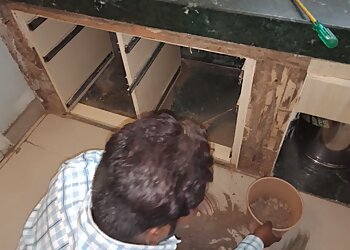 Hygiene India Pests Control