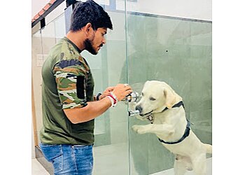 IVH - Dr. Sanjay Jain Indian Veterinary Hospital