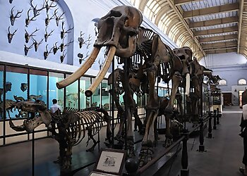 Indian Museum