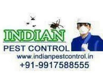 Indian Pest Control