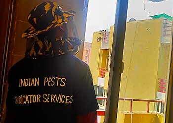 Indian Pests Eradicator Services