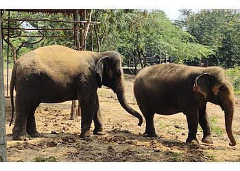 Indira Gandhi Zoological Park