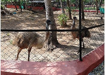 Indira Gandhi Zoological Park