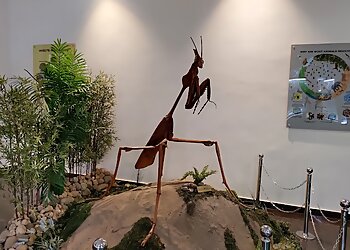Insect Museum
