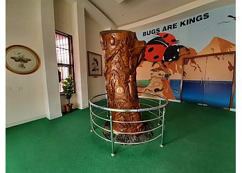 Insect Museum