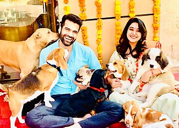 International Dog Bazar