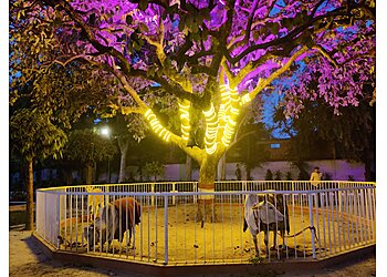 JK Temple / Radha Krishna Temple