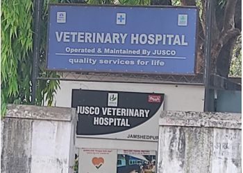 3 Best Veterinary Hospitals in Jamshedpur, JH - ThreeBestRated