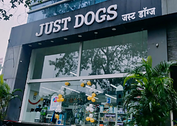 JUSTDOGS JUSTDOGS