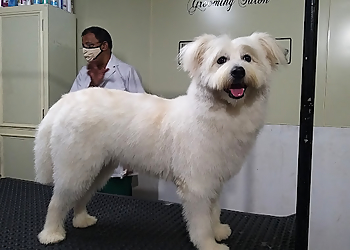 Jacob's Animal Clinic