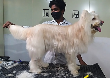 Jacob's Animal Clinic