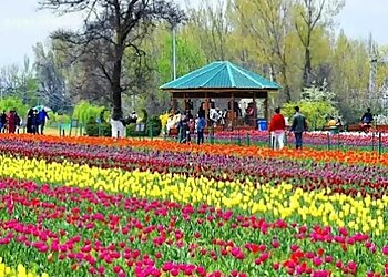 Jammu Kashmir Tour & Travels