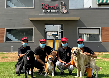 Jeffurry’s Pet Care