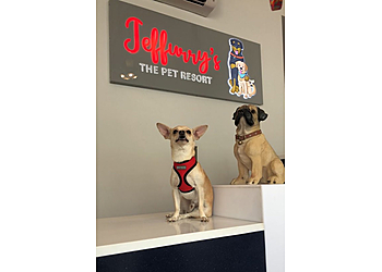 Jeffurry’s Pet Care