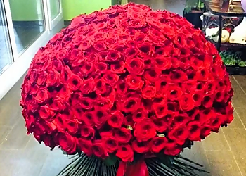 Jhansi Floral Jhansi Floral