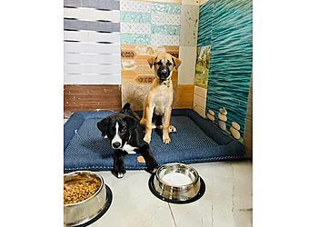 Jimmy Pet Care & Dogs Hostel Jimmy Pet Care & Dogs Hostel