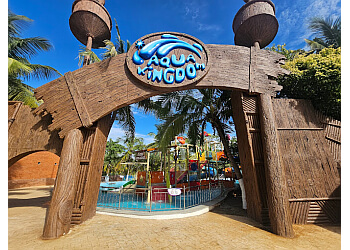 Jollywood Studios & Adventures