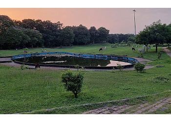 3 Best Public Parks in Bhilai - Expert Recommendations