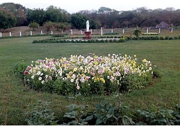 3 Best Public Parks in Bhilai - Expert Recommendations