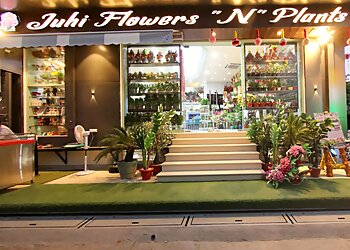 Juhi Flower Center