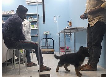K9 Clinic