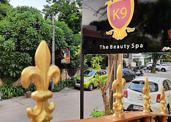K9 The Beauty Spa
