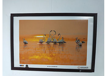 Kaladirgha art gallery