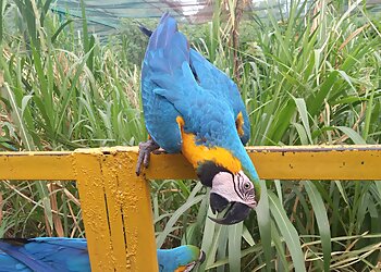 Kamla Nehru Prani Sangrahalaya