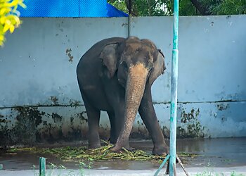 Kamla Nehru Zoological Garden